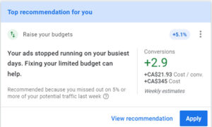 Google Ads Raise Your Budget recommendation